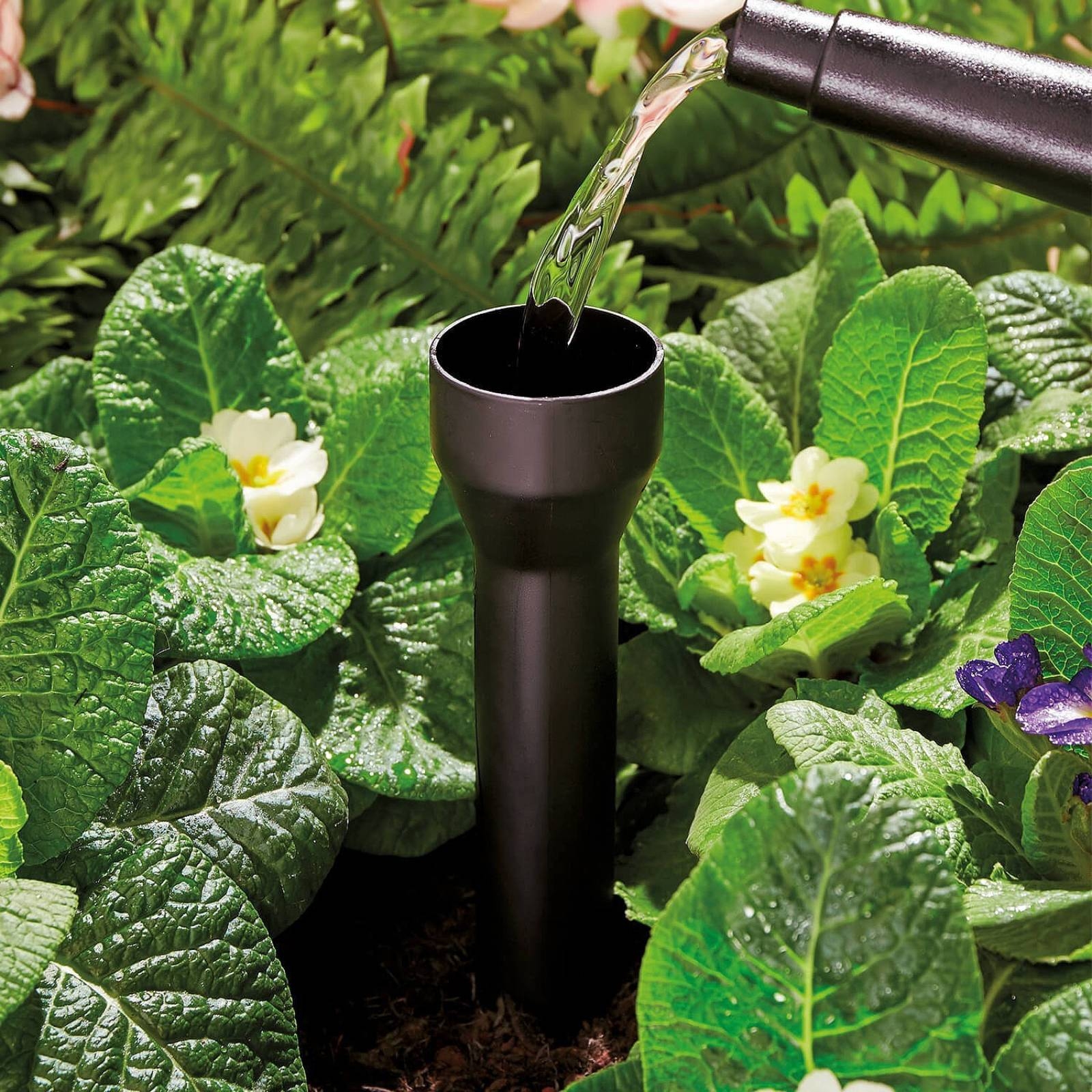 3 Pieces Root Watering Stake P - Gardening Tools For Home บทวิจารณ์และราคา