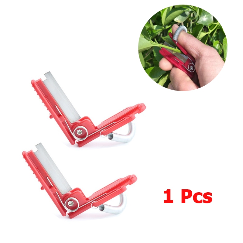 Vegetable Thump Knife Separato - Harvest Knife Garden บทวิจารณ์และราคา
