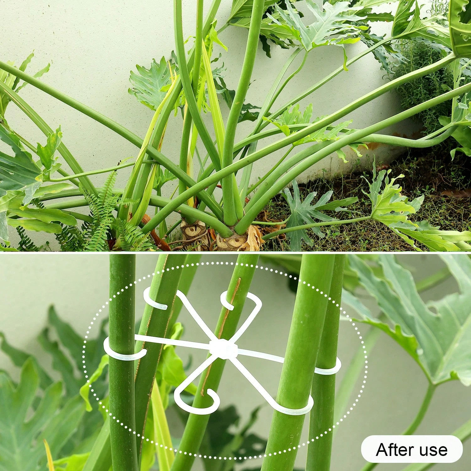 1Pc Plastic Plant Support Clip - Gardening Tools For Home บทวิจารณ์และราคา