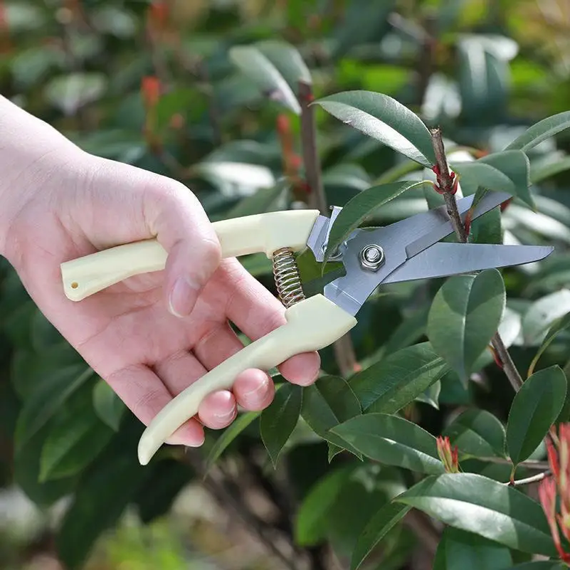 Stainless Steel Pruning Scisso - Gardening Tools To Cut Branches บทวิจารณ์และราคา