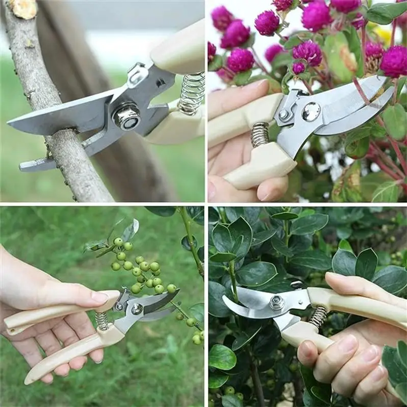 Stainless Steel Pruning Scisso - Gardening Tools To Cut Branches บทวิจารณ์และราคา