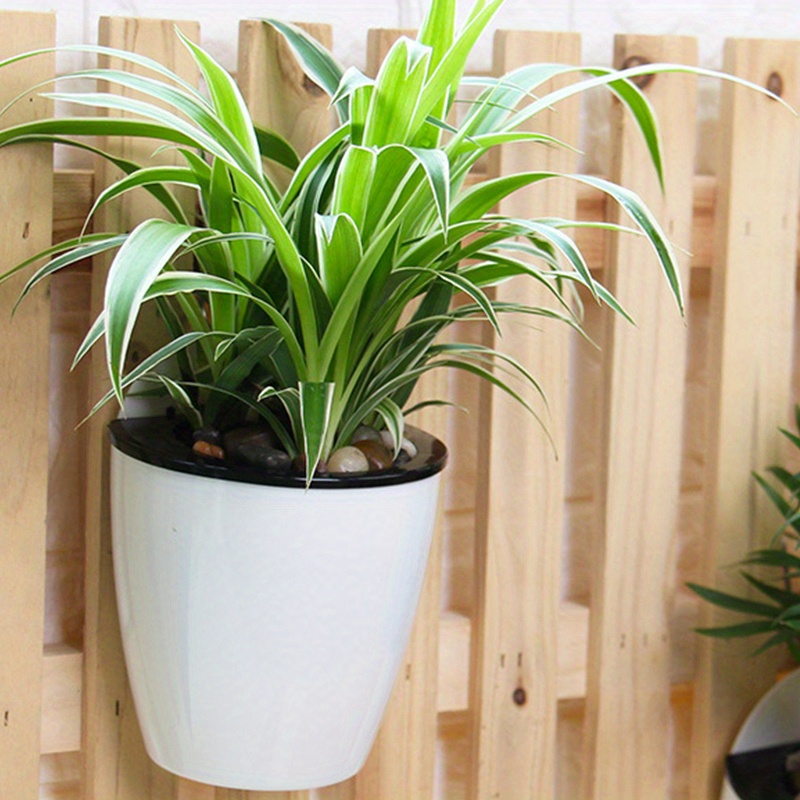 Self-Watering Wall Hanging Pla - Vertical Wall Planter บทวิจารณ์และราคา
