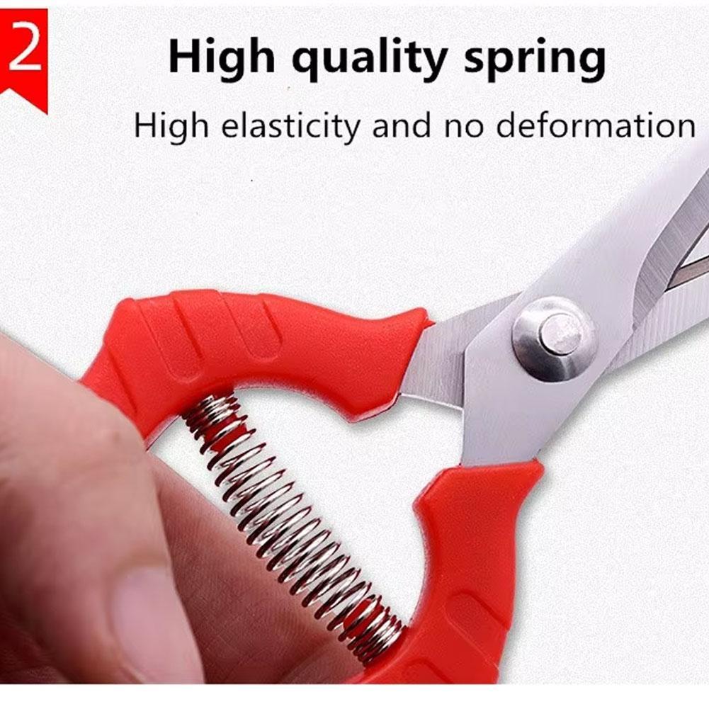 1PC Stainless Steel Garden Sci - Gardening Tools To Cut Branches บทวิจารณ์และราคา