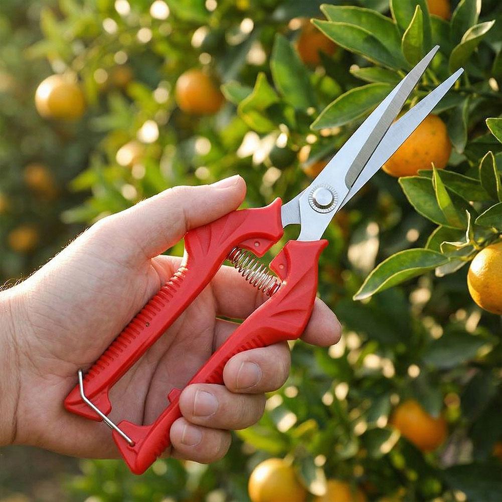 1PC Stainless Steel Garden Sci - Gardening Tools To Cut Branches บทวิจารณ์และราคา