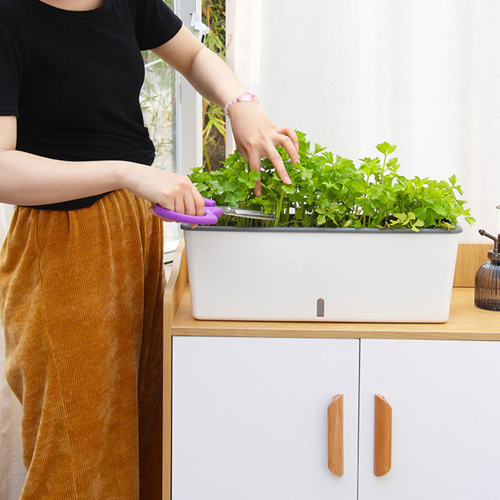Self-Watering Planter Pots wit - Vertical Wall Planter บทวิจารณ์และราคา