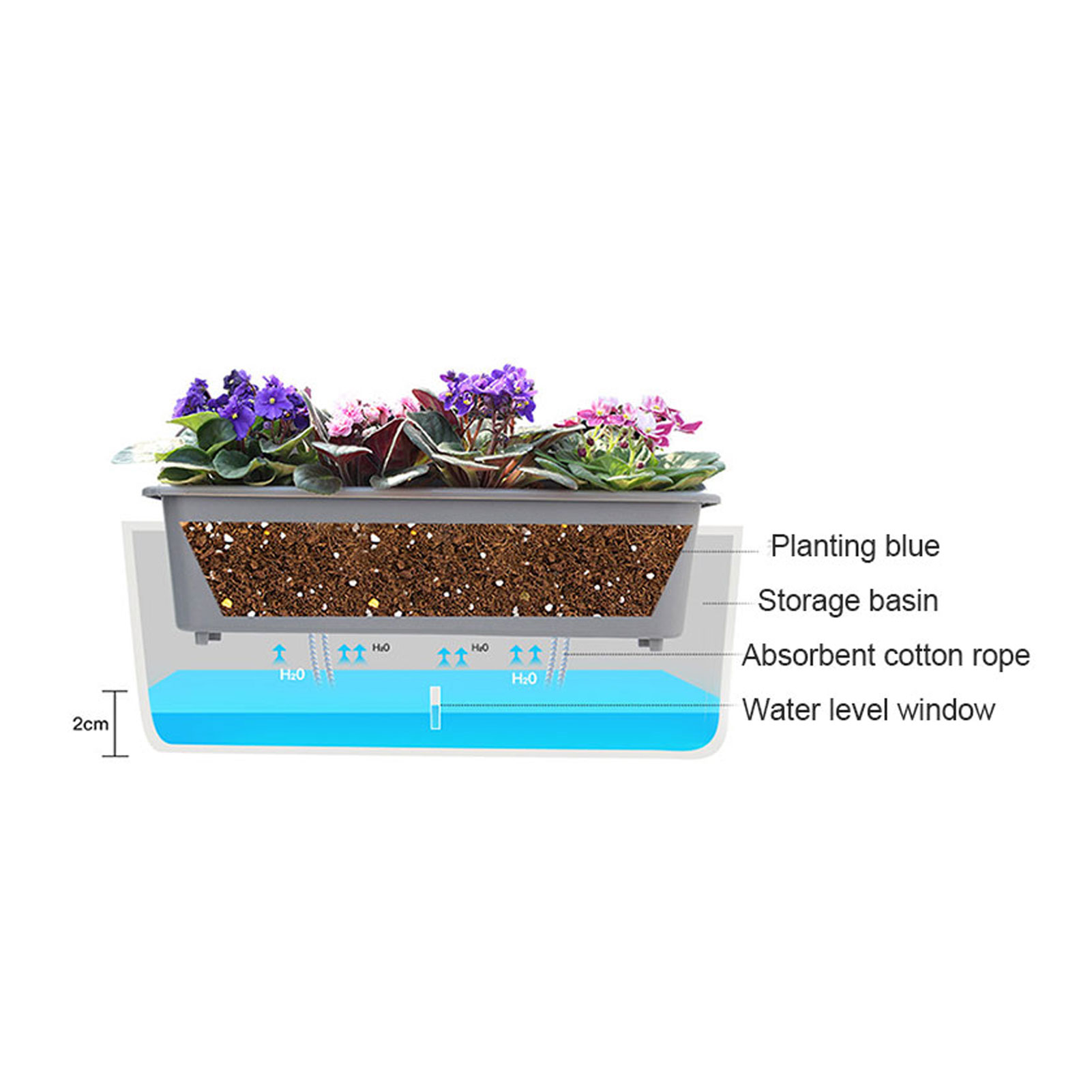 Self-Watering Planter Pots wit - Vertical Wall Planter บทวิจารณ์และราคา