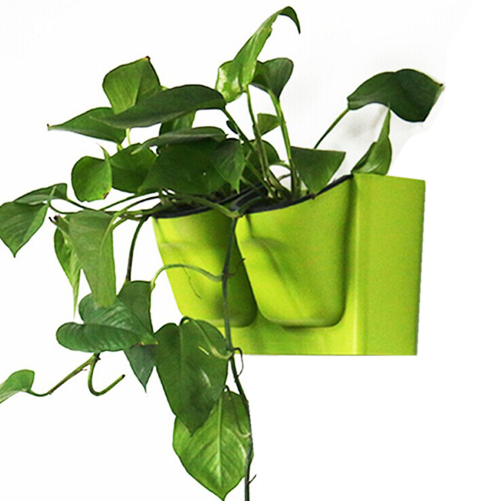Living Wall Planter Standard P - Vertical Wall Planter บทวิจารณ์และราคา