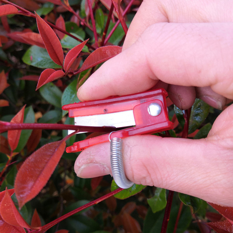 1/2/3pcs Vegetable Thump Knife - Harvest Knife Garden บทวิจารณ์และราคา