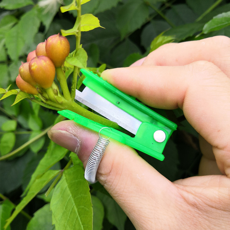 1/2/3pcs Vegetable Thump Knife - Harvest Knife Garden บทวิจารณ์และราคา