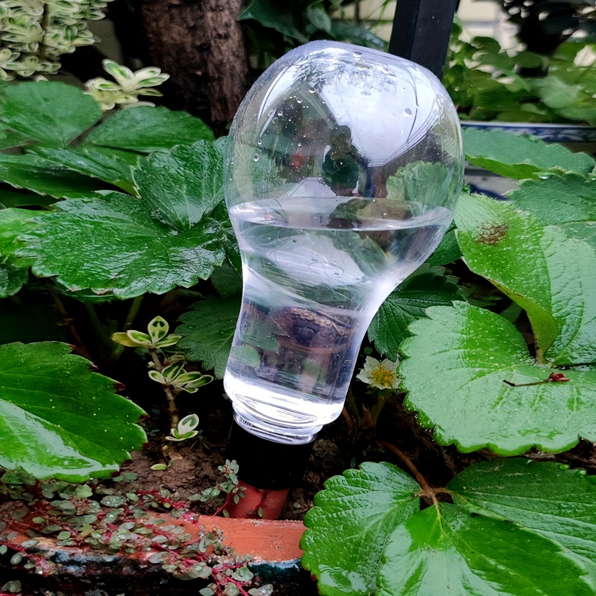 Garden Automatic Watering Tool - Gardening Tools For Home บทวิจารณ์และราคา
