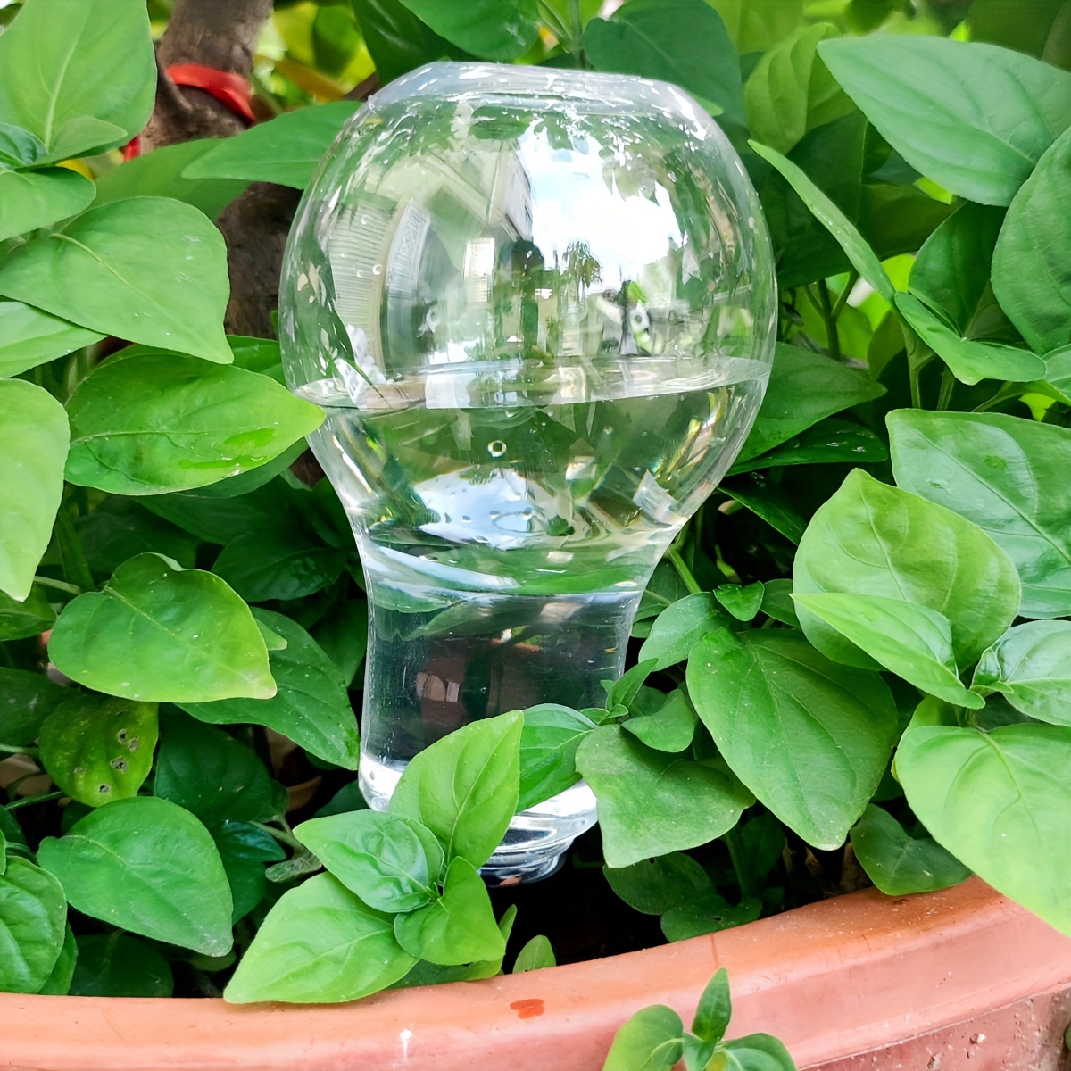 Garden Automatic Watering Tool - Gardening Tools For Home บทวิจารณ์และราคา