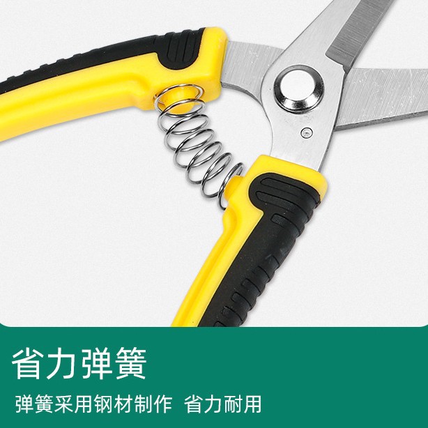 Stainless Steel Pruning Cut Fl - Gardening Tools To Cut Branches บทวิจารณ์และราคา