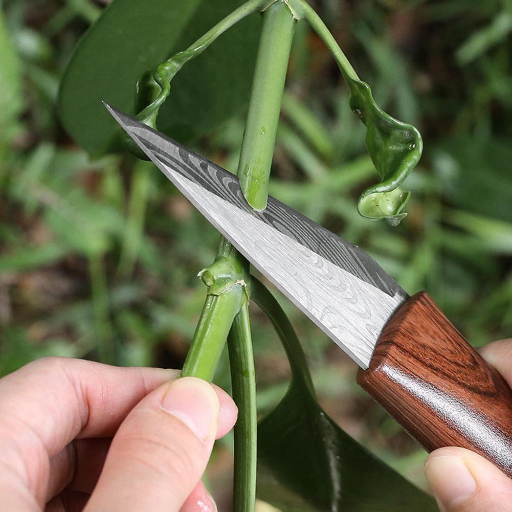 Grafting Knife Grafting Tools  - Harvest Knife Garden บทวิจารณ์และราคา