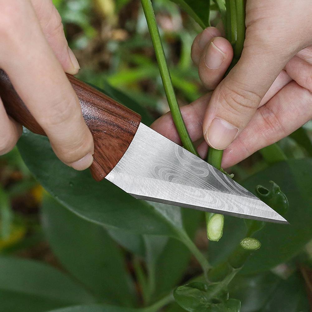 Grafting Knife Grafting Tools  - Harvest Knife Garden บทวิจารณ์และราคา