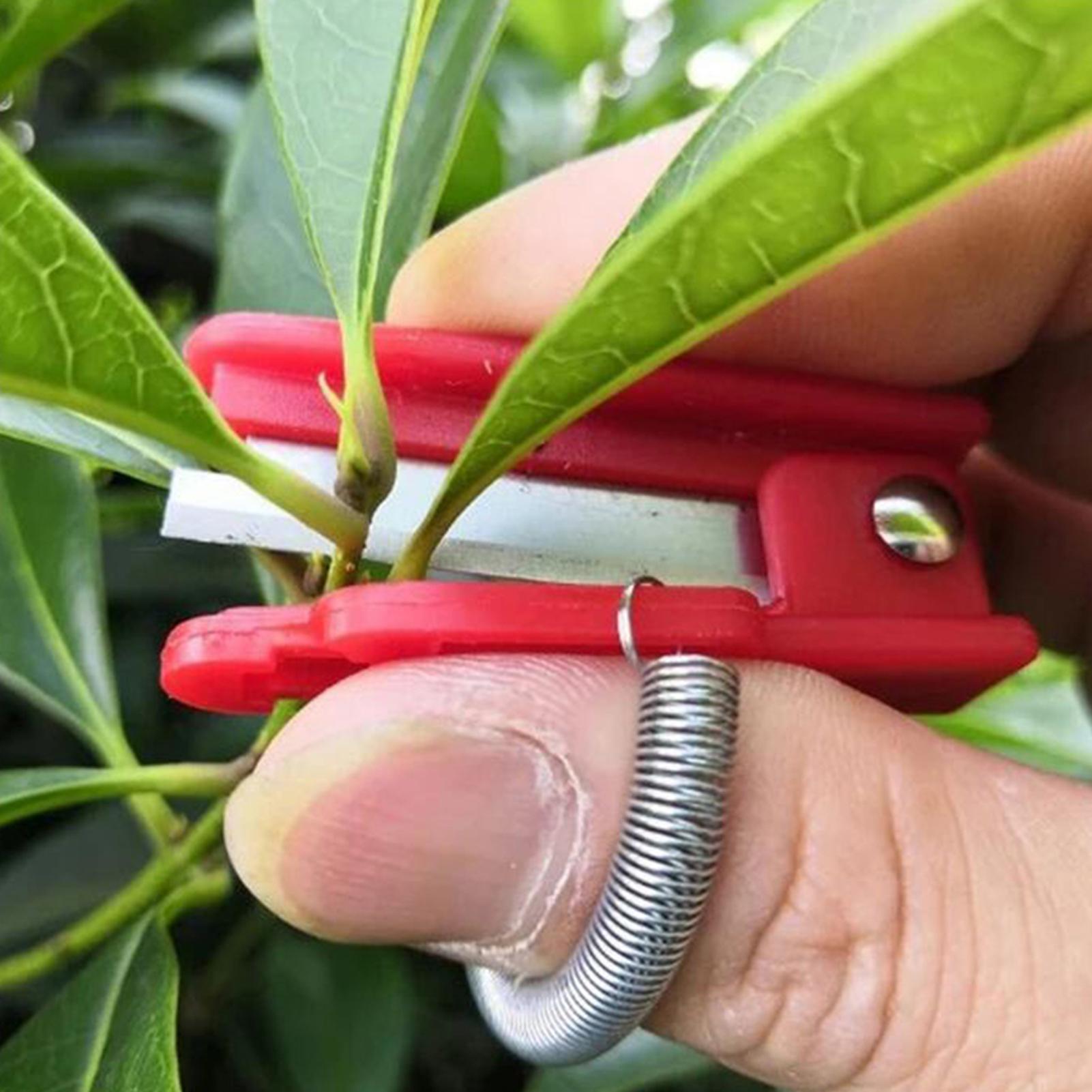 Red Vegetable Fruit Harvesting - Harvest Knife Garden บทวิจารณ์และราคา