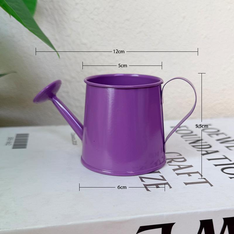 Mini Watering Can Metal Vintag - Gardening Tools Vintage บทวิจารณ์และราคา