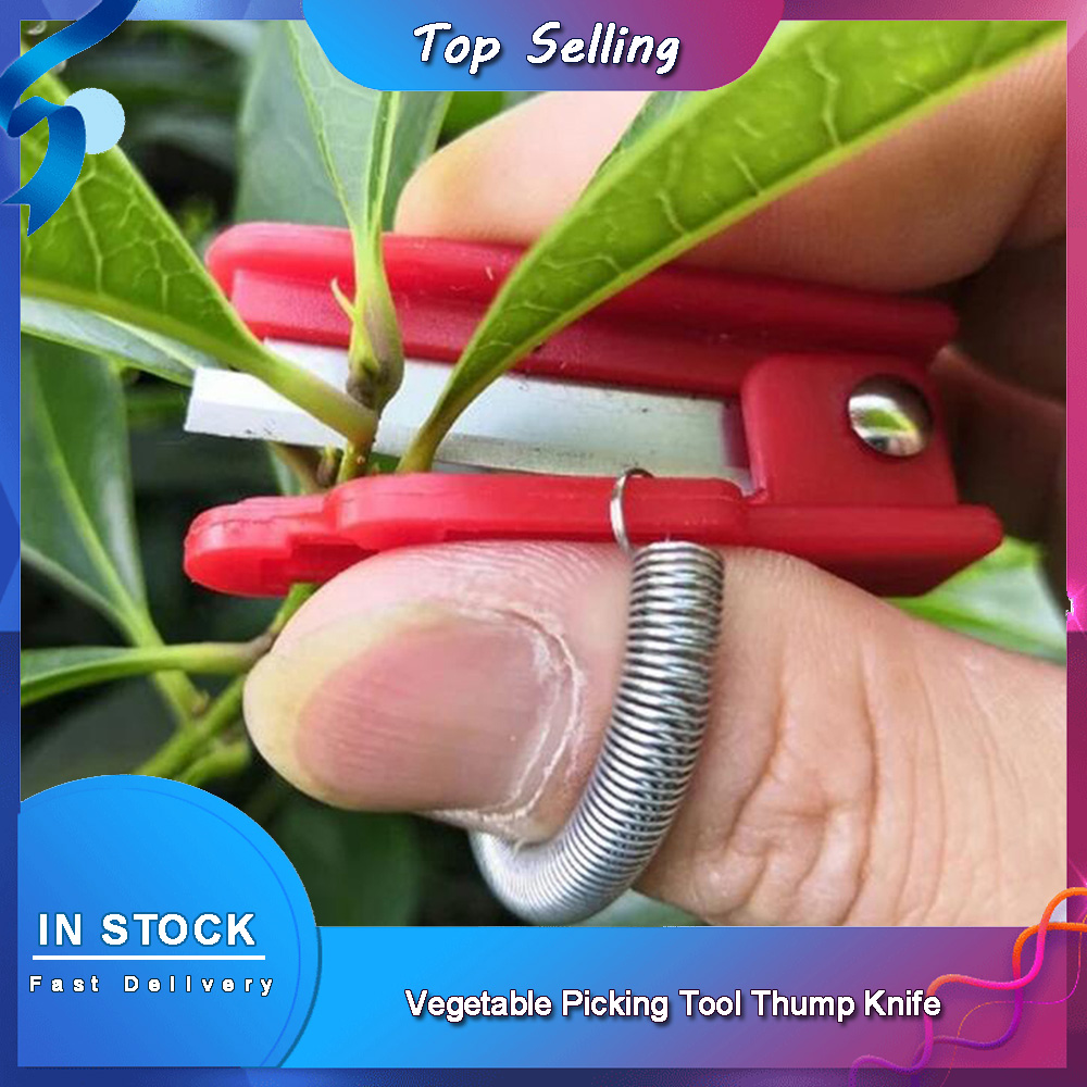 Vegetable Picking Tool Thump K - Harvest Knife Garden บทวิจารณ์และราคา