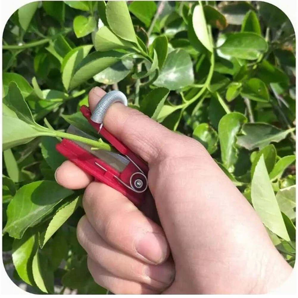 Vegetable Picking Tool Thump K - Harvest Knife Garden บทวิจารณ์และราคา