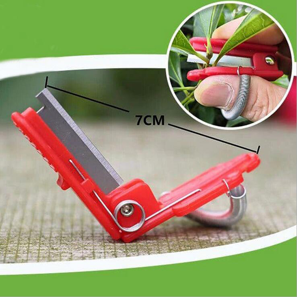 Vegetable Picking Tool Thump K - Harvest Knife Garden บทวิจารณ์และราคา