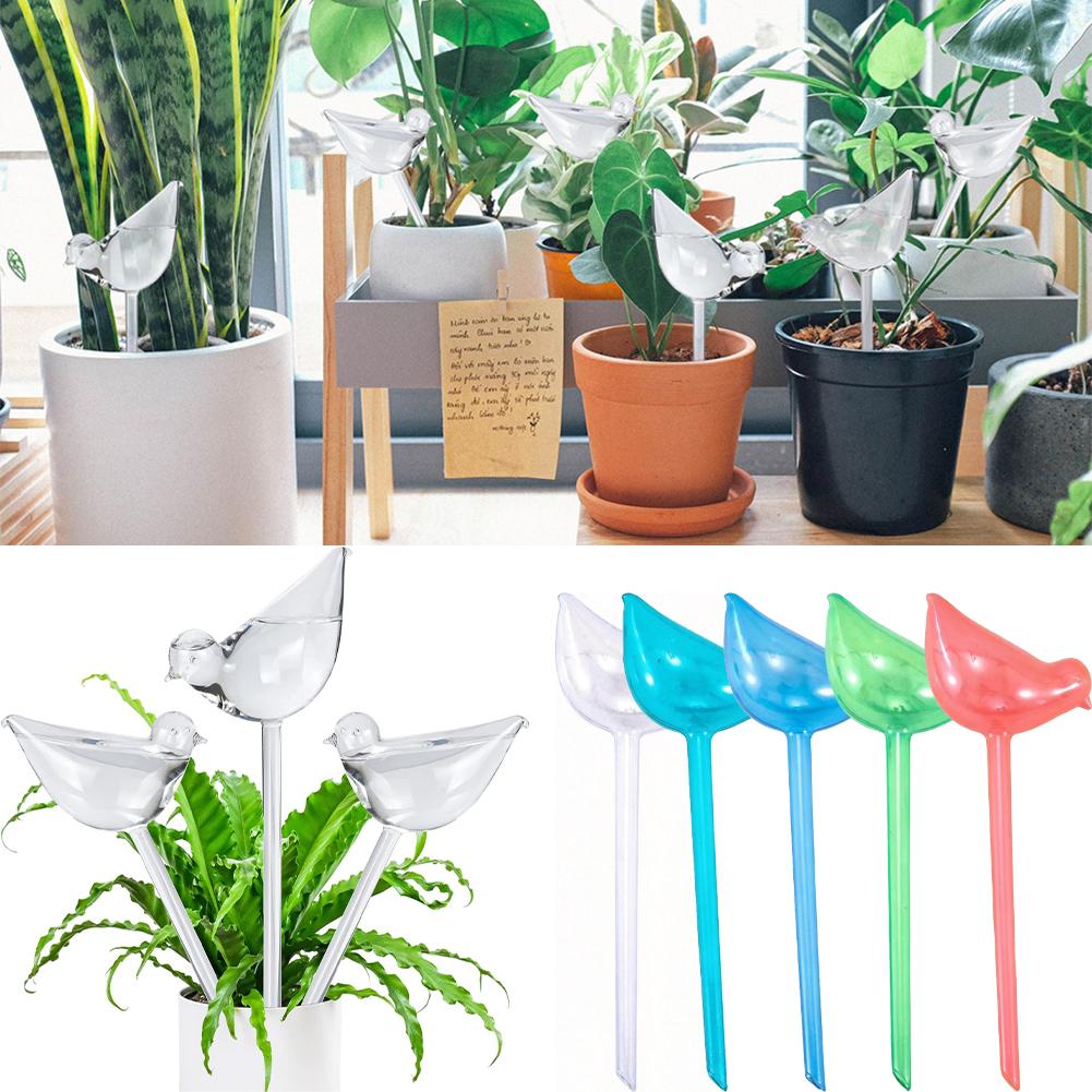 Automatic Plant Watering Bulbs - Gardening Tools For Home บทวิจารณ์และราคา