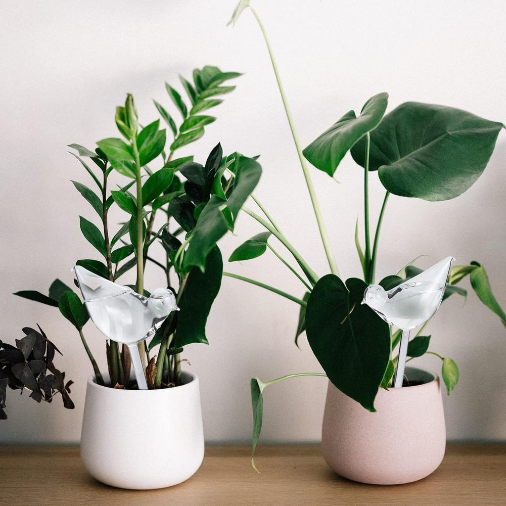 Automatic Plant Watering Bulbs - Gardening Tools For Home บทวิจารณ์และราคา