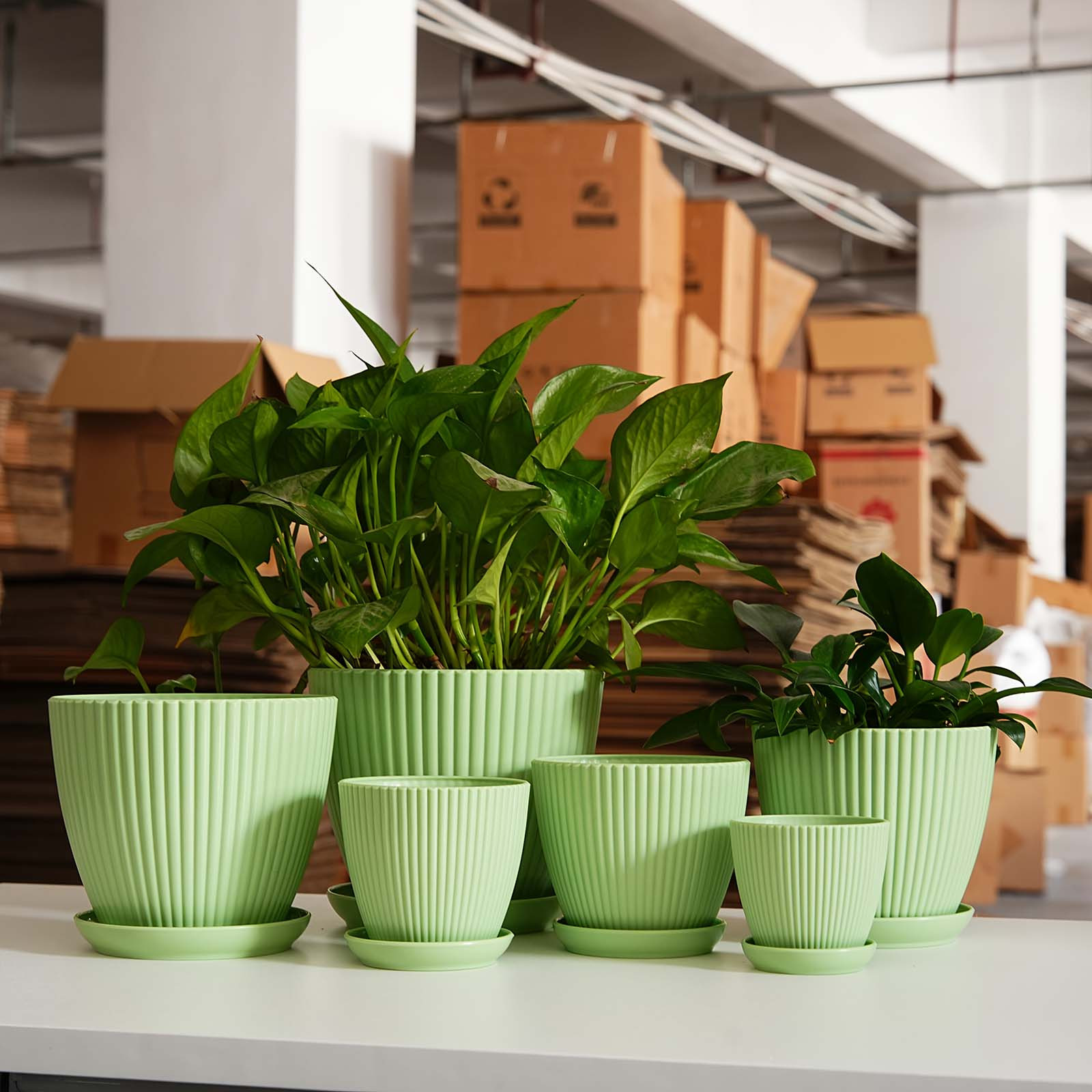 Vertical Striped Thickened Pla - Vertical Wall Planter บทวิจารณ์และราคา
