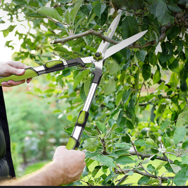 Long Length Scissor Hedge Anvi - Gardening Tools To Cut Branches บทวิจารณ์และราคา