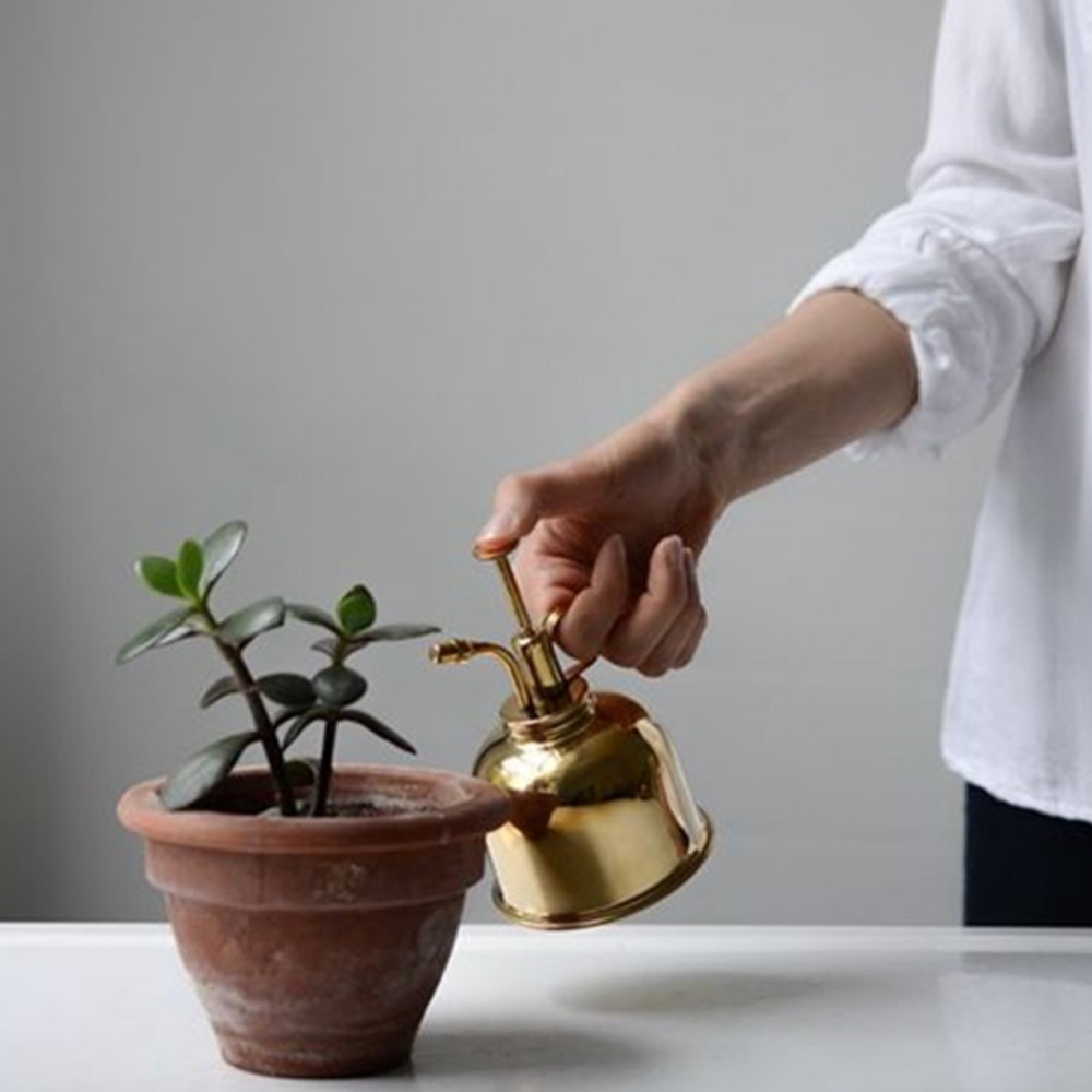 Brass Watering Can Spray Bottl - Gardening Tools Vintage บทวิจารณ์และราคา
