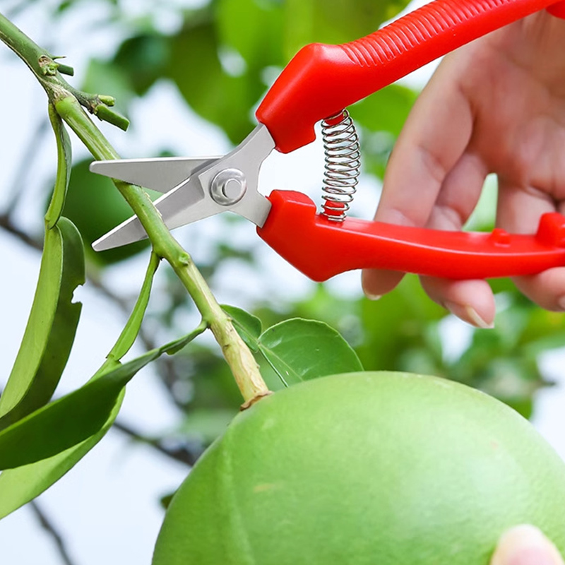 One-handed Scissors Pruning Sh - Gardening Tools To Cut Branches บทวิจารณ์และราคา