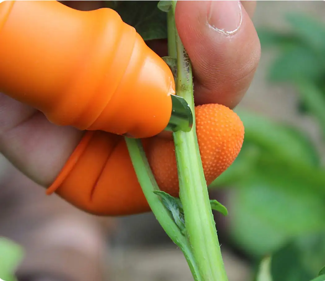 Gardening Silicone Thumb Knife - Harvest Knife Garden บทวิจารณ์และราคา