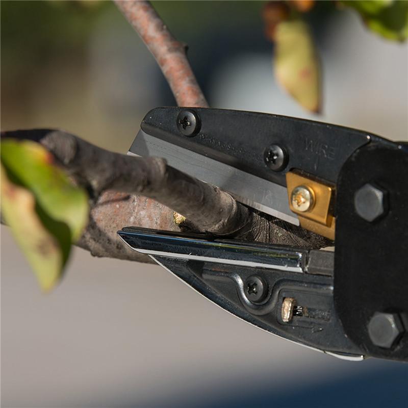 3In1 Plant Trim Horticulture P - Gardening Tools To Cut Branches บทวิจารณ์และราคา