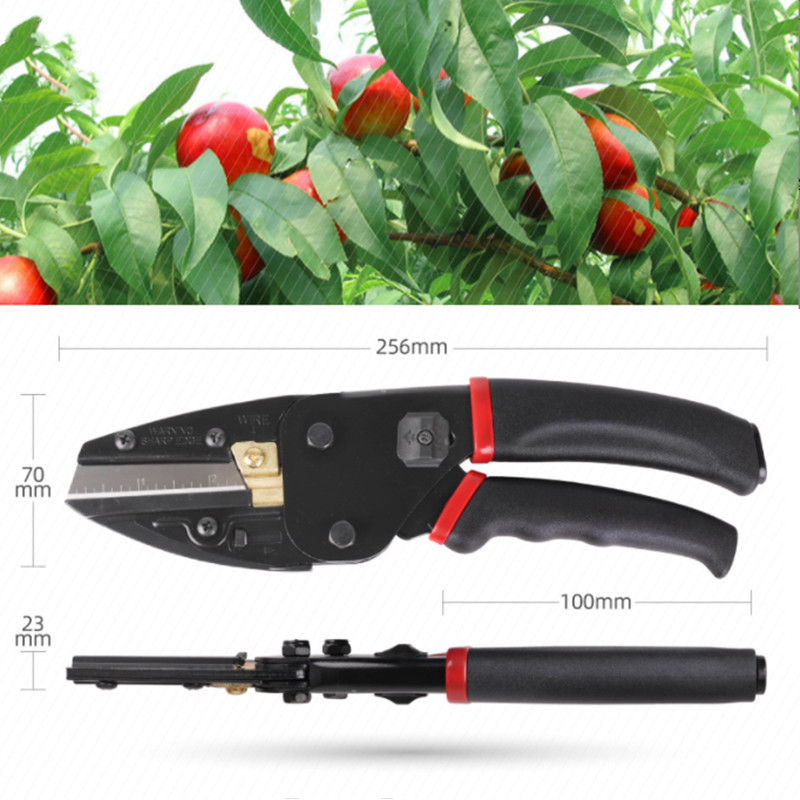 3In1 Plant Trim Horticulture P - Gardening Tools To Cut Branches บทวิจารณ์และราคา