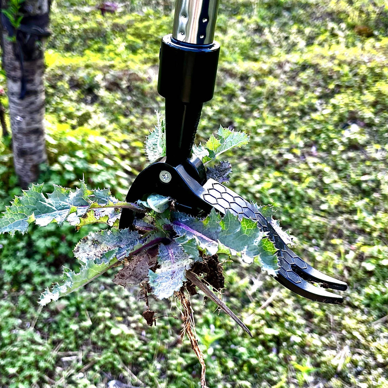 Save Labour Hand Metal Weed Ex - Gardening Tools You Need บทวิจารณ์และราคา