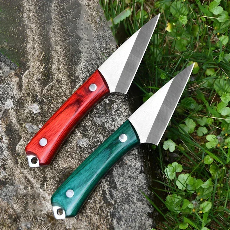 Stainless Steel Grafting Knife - Harvest Knife Garden บทวิจารณ์และราคา