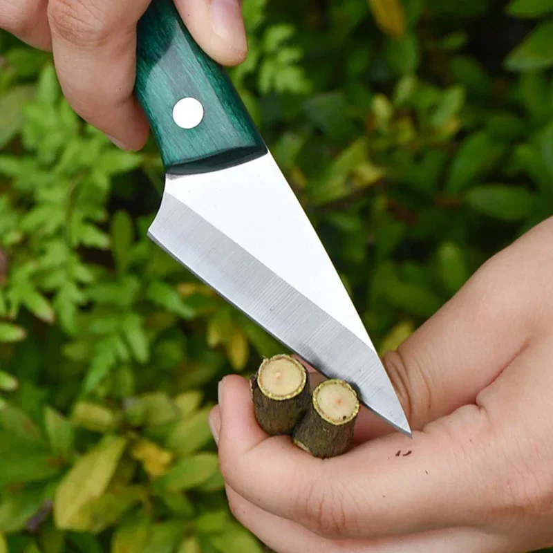 Stainless Steel Grafting Knife - Harvest Knife Garden บทวิจารณ์และราคา