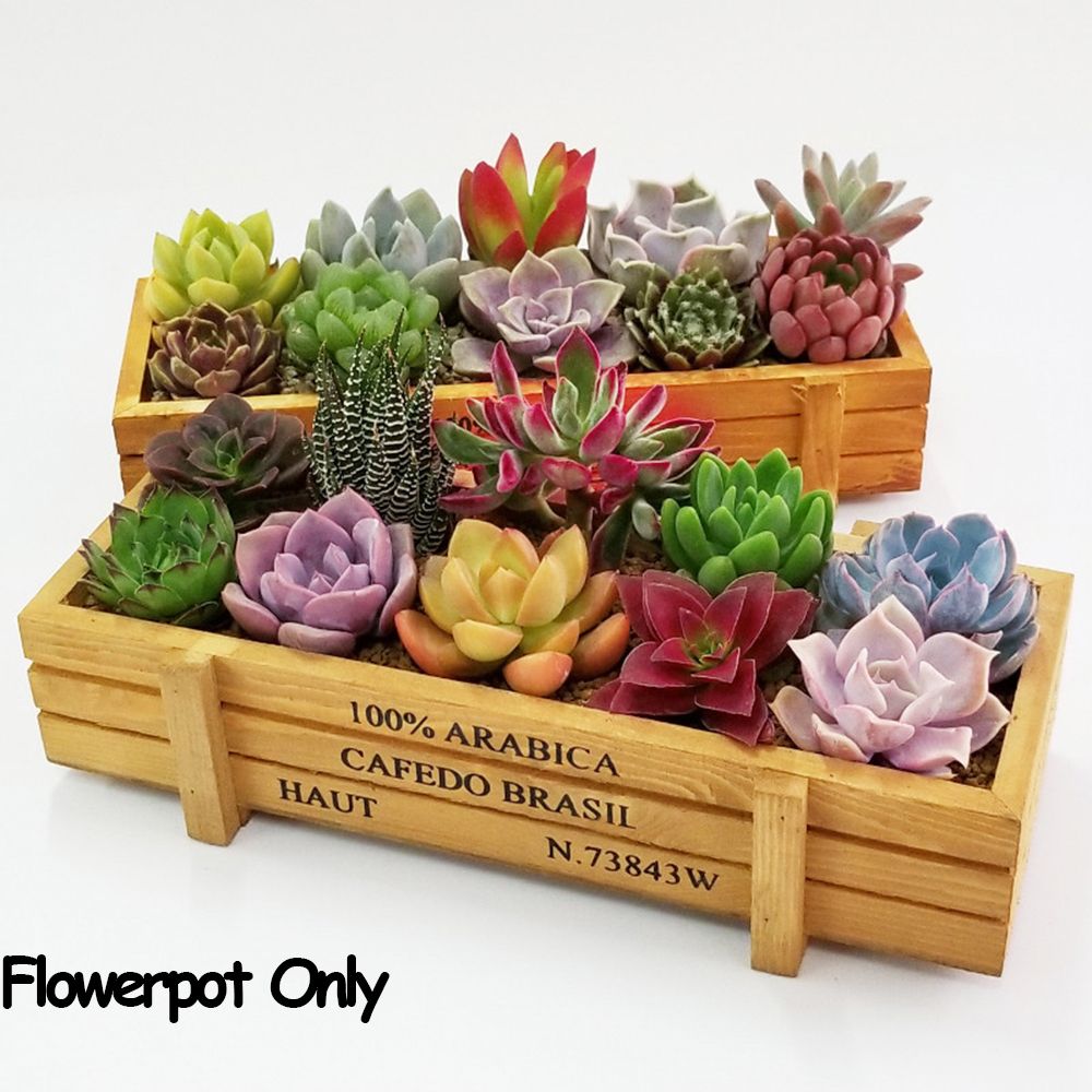 1 PC Tools Garden Decor Trough - Gardening Tools Vintage บทวิจารณ์และราคา
