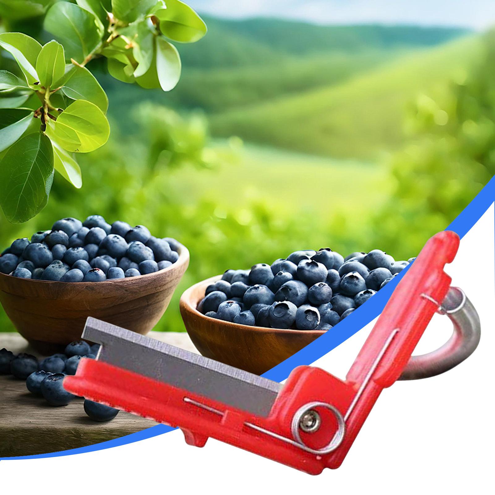Multifunction Thumb Knife Gard - Harvest Knife Garden บทวิจารณ์และราคา
