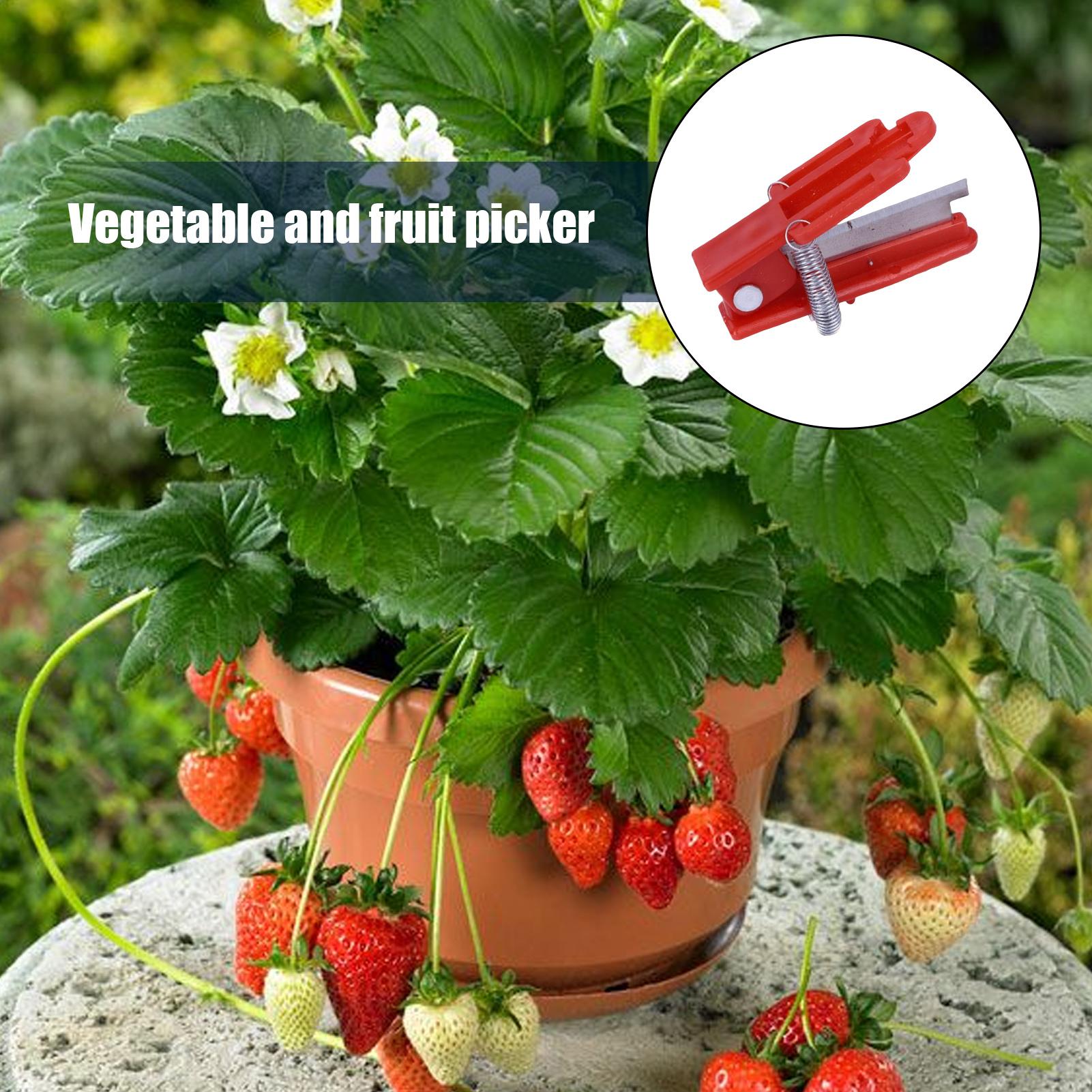 Multifunction Thumb Knife Gard - Harvest Knife Garden บทวิจารณ์และราคา