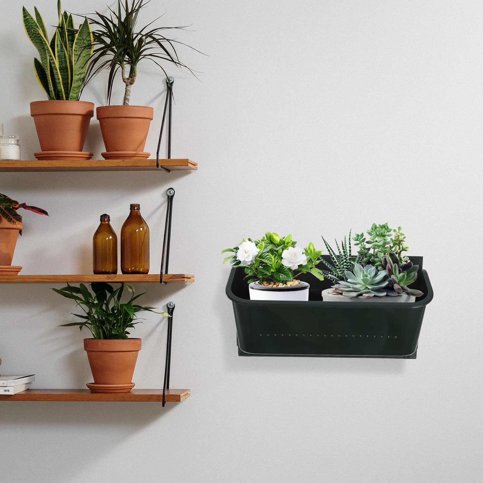 Wall Planters Vertical Hanging - Vertical Wall Planter บทวิจารณ์และราคา