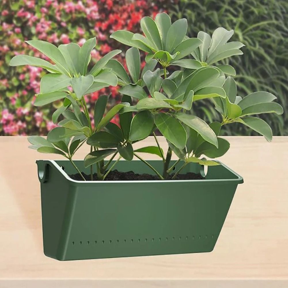 Bonsai Tool Plastic Flower Pot - Vertical Wall Planter บทวิจารณ์และราคา