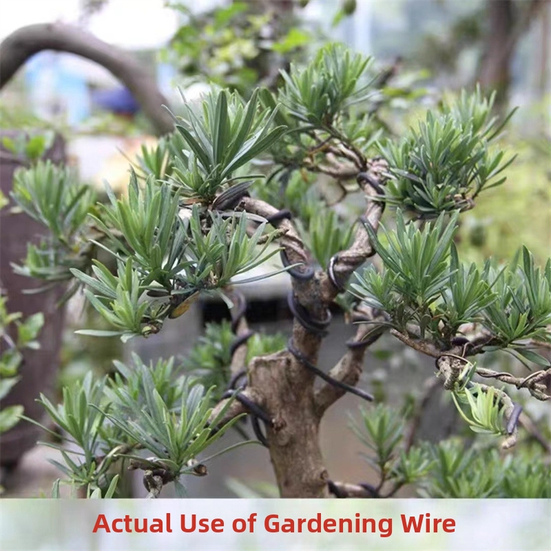 1.5MM Bonsai Wires Aluminum Bo - Gardening Tools For Home บทวิจารณ์และราคา
