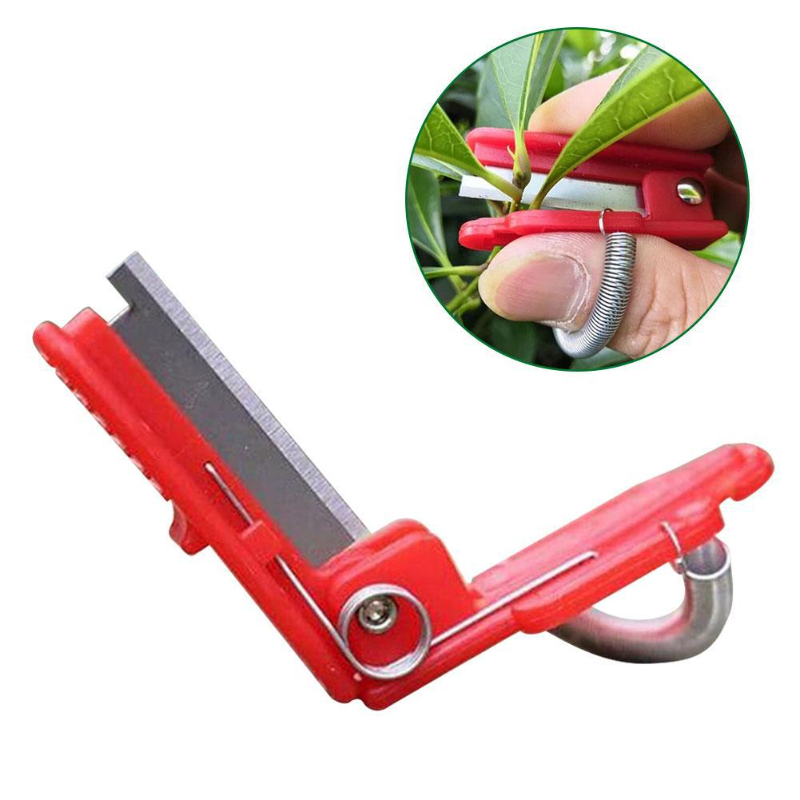Knife Separator Vegetable Frui - Harvest Knife Garden บทวิจารณ์และราคา
