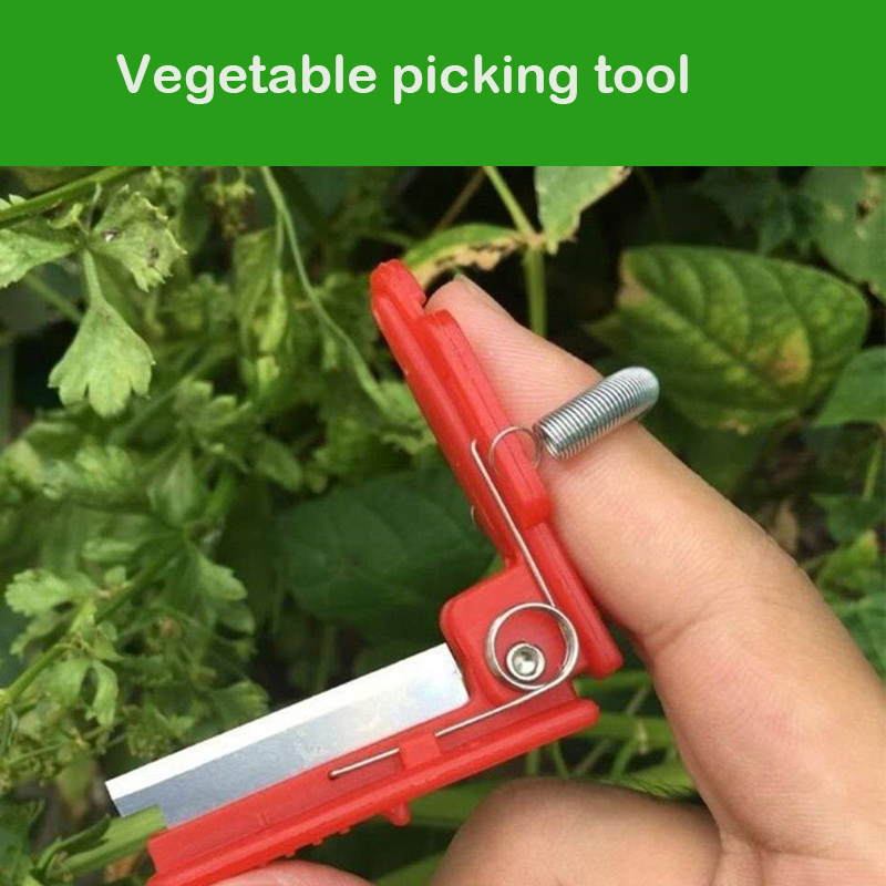 Knife Separator Vegetable Frui - Harvest Knife Garden บทวิจารณ์และราคา