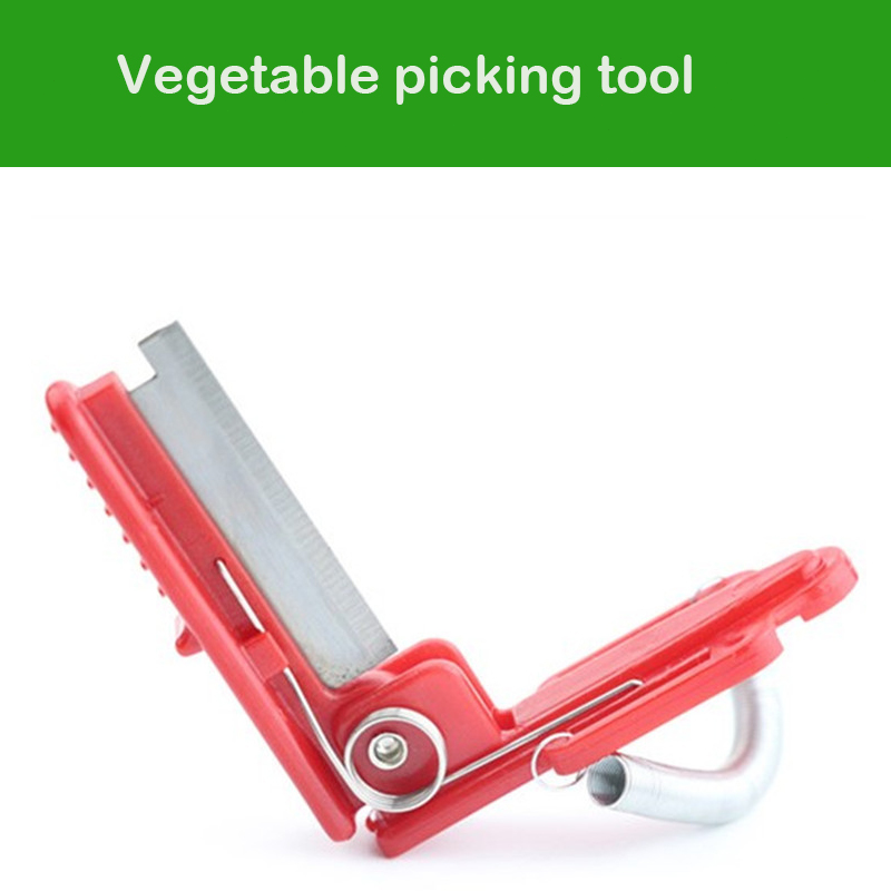 Knife Separator Vegetable Frui - Harvest Knife Garden บทวิจารณ์และราคา