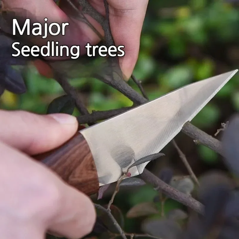 Wooden Handle Grafting Knife w - Harvest Knife Garden บทวิจารณ์และราคา