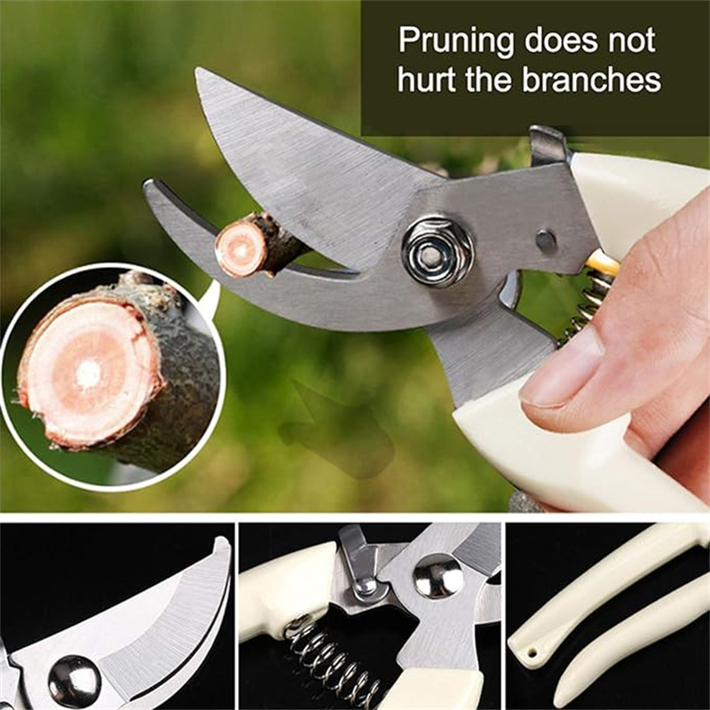 1PC Stainless Steel Pruning Sc - Gardening Tools To Cut Branches บทวิจารณ์และราคา