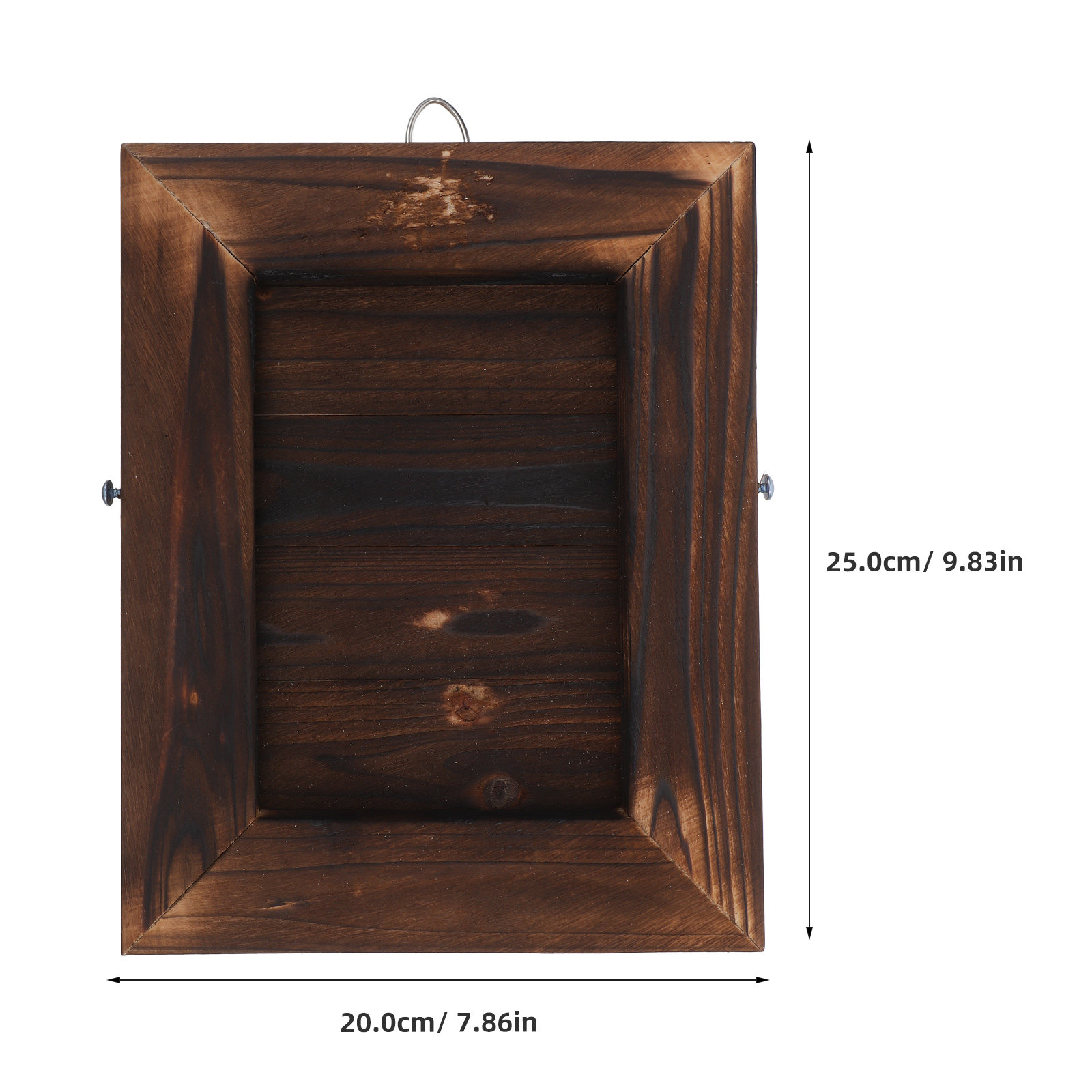 Stag Horn Fern Mount Wall Plan - Vertical Wall Planter บทวิจารณ์และราคา
