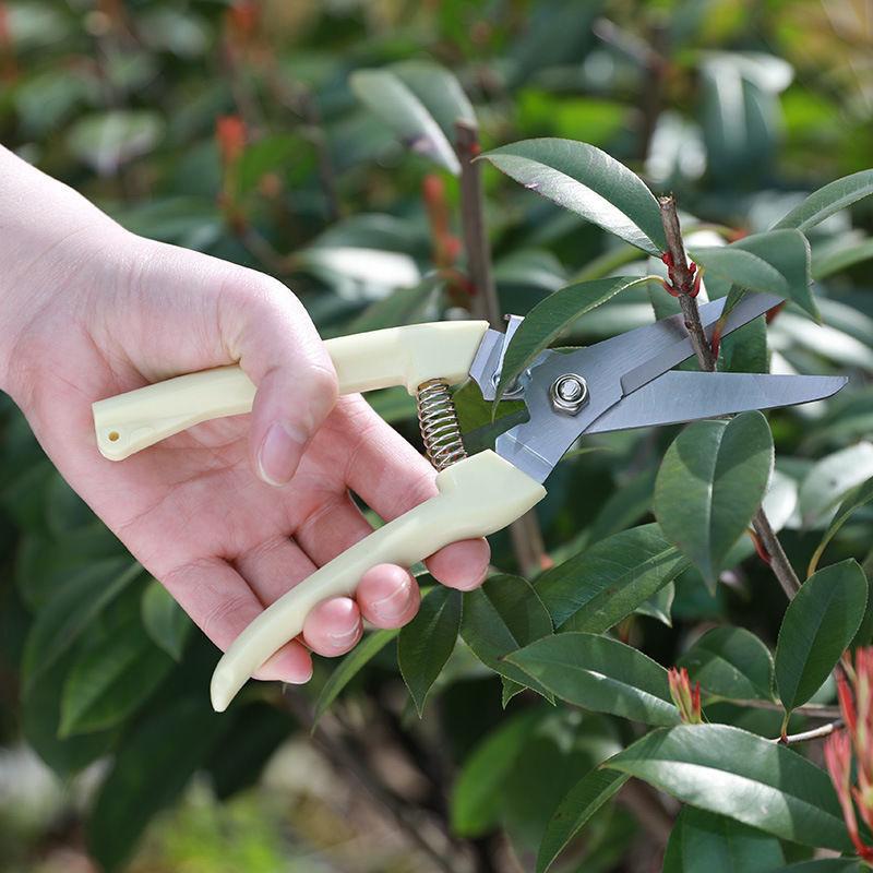 Stainless Steel Pruning Scisso - Gardening Tools To Cut Branches บทวิจารณ์และราคา