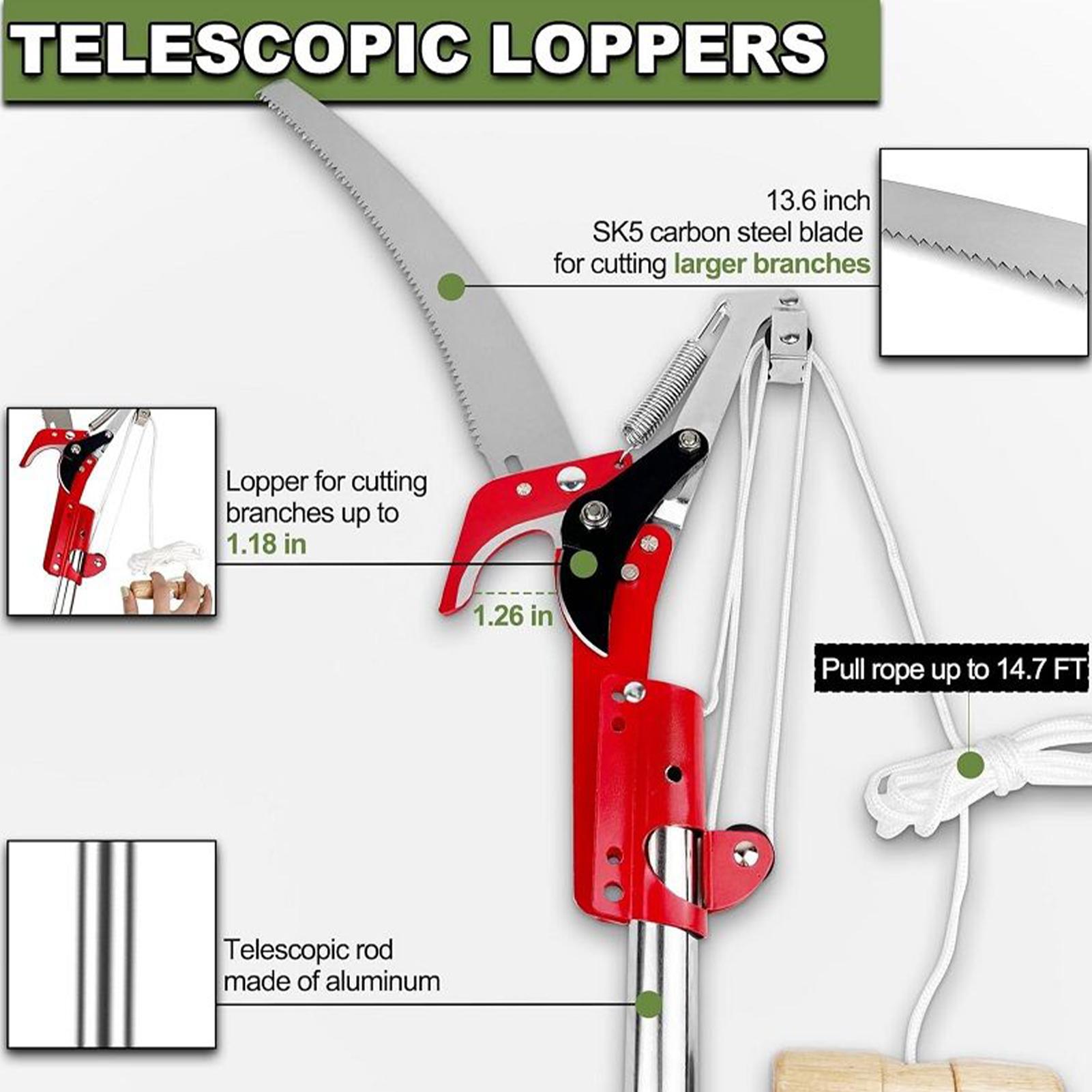 Tree Pruner  Branches Cutter P - Gardening Tools To Cut Branches บทวิจารณ์และราคา