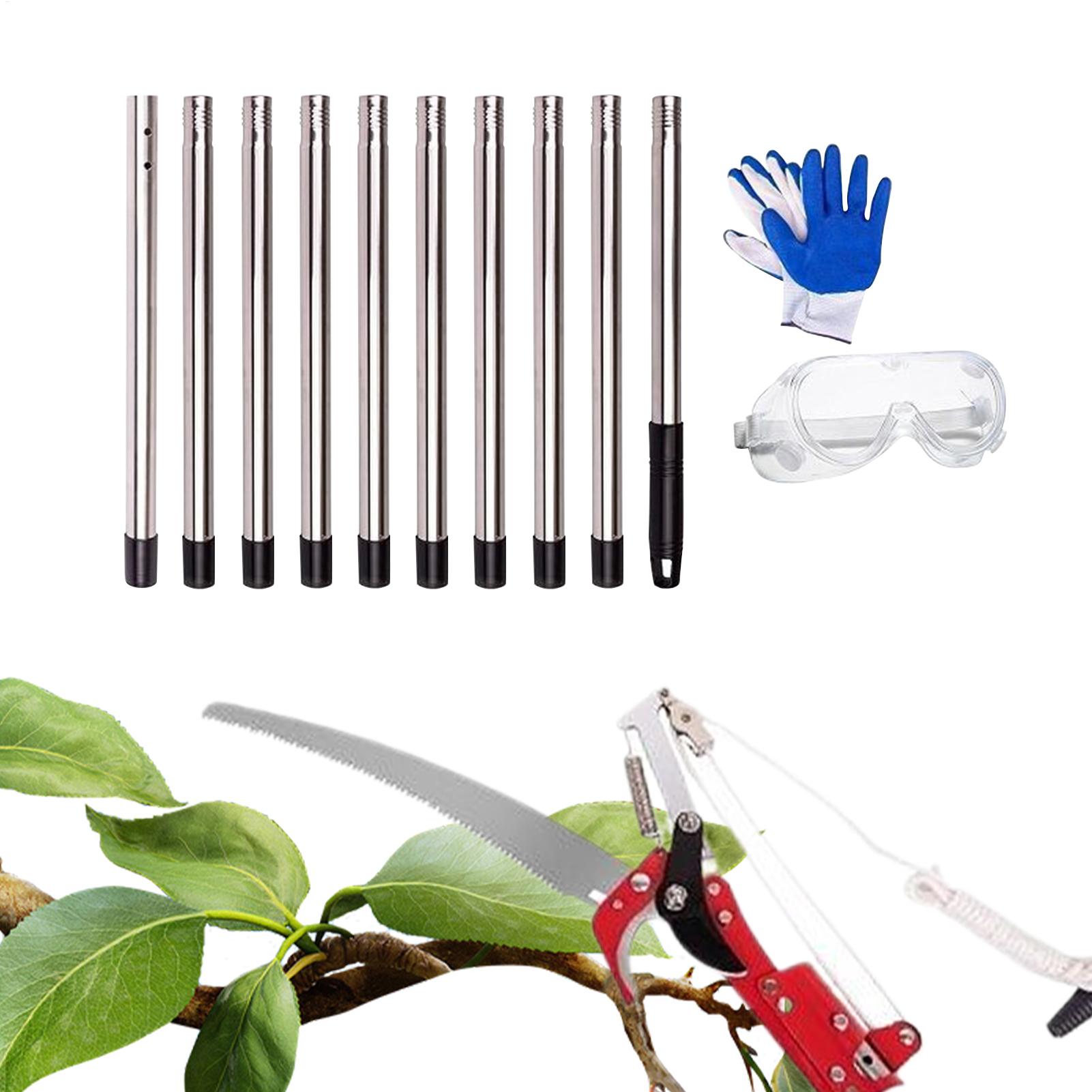 Tree Pruner  Branches Cutter P - Gardening Tools To Cut Branches บทวิจารณ์และราคา